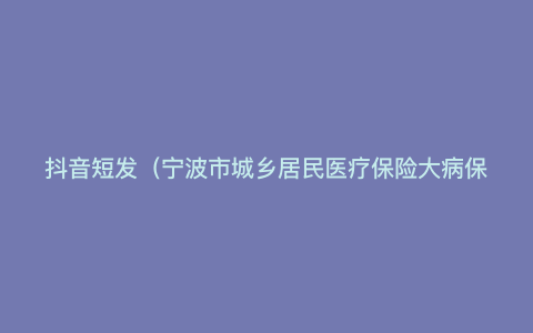 抖音短发(宁波市城乡居民医疗保险大病保险报销手续)