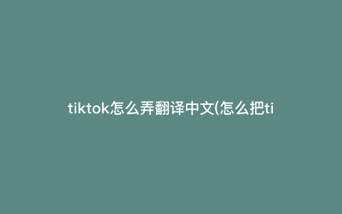 tiktok怎么弄翻译中文(怎么把tiktok里的字幕变成中文)